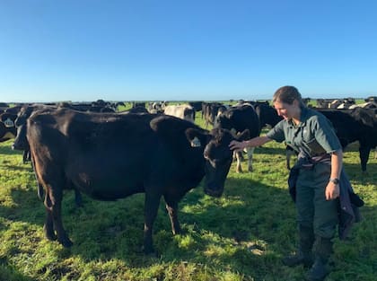 Durante la época de pariciones, la jornada comienza a las 4 de la madrugada y el equipo se reparte entre buscar las vacas, ordeñar, separar y tratar a los animales enfermos y manejar el calostro de las nuevas madres