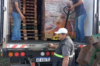 Incautaron 22.000 kilos de limones, maracuyá y jengibre no aptos para el consumo