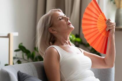 Durante la menopausia el termostato interno del cuerpo a veces registra que el cuerpo está más caliente de lo que en verdad está y desencadena una sudoración rápida y una dilatación de los vasos sanguíneos en un intento por enfriarse