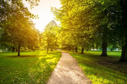 Durante la primavera, las temperaturas comienzan a subir