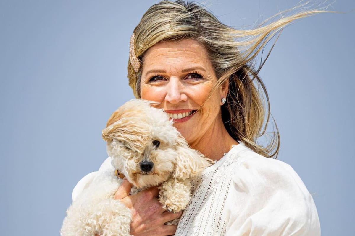Durante la sesión de fotos familiar de mitad de año, la reina Máxima compartió un divertido momento con su mascota (Foto: Instagram @patrickvkatwijk)