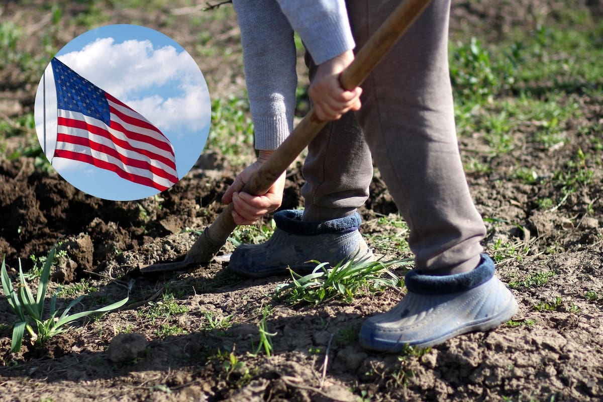 Durante Labor Day, también hay descuentos que se pueden aprovechar (Pixabay/Canva)