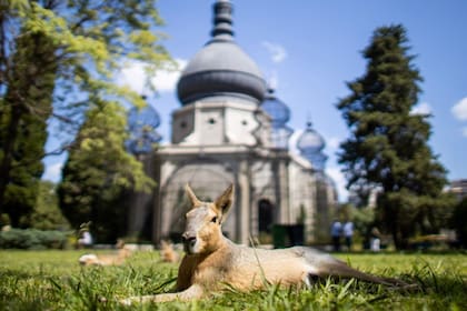 Durante las vacaciones de invierno, las familias de CABA podrán asistir al Ecoparque