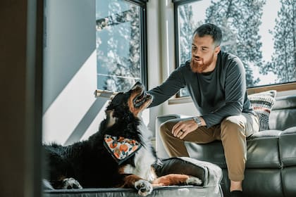 Durante los festejos con pirotecnia, intentá compartir ese momento con tu perro y ofrecele caricias y palabras con tranquilidad (Fuente: Pexels)