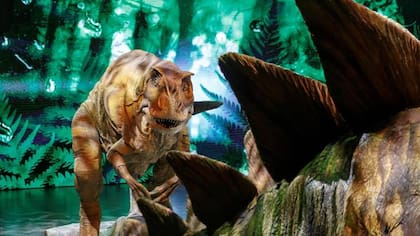 Durante los últimos 542 millones de años hubo cinco eventos de extinción masiva