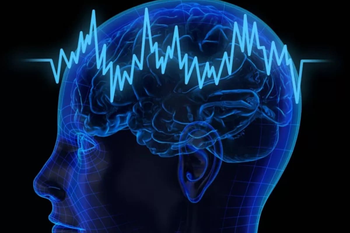 Durante momentos de estrés, el equilibrio cambia y regiones como la amígdala, que es responsable de identificar amenazas, pueden comenzar a tomar el control