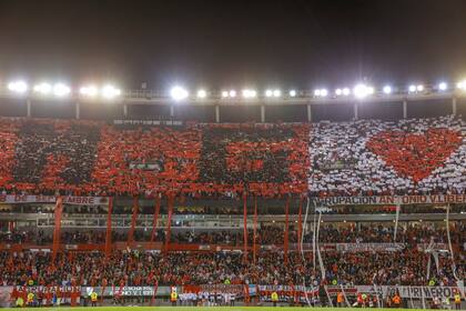 Durante muchos años no supe explicar por qué elegí la camiseta, pero aprendí que la razón puede estar en mi ADN