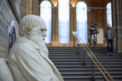 Durante su etapa universitaria en Cambridge, Darwin formó parte junto a otros estudiantes del "Club del Glotón", una sociedad dedicada exclusivamente a consumir "aves y bestias" que fueran desconocidas para el paladar humano convencional