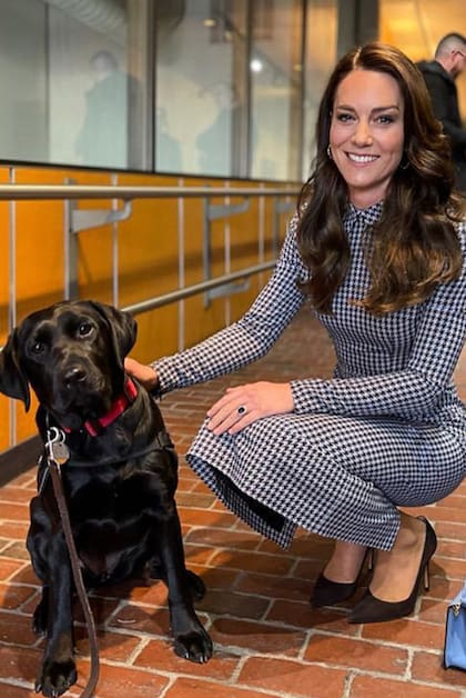 Durante su visita a Harvard en diciembre de 2022, Kate Middleton aprovechó la oportunidad para acariciar a Sasha