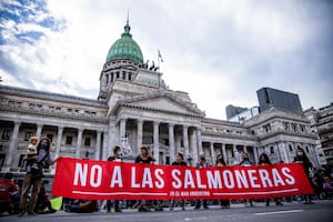 Durante tres años se llevaron adelante los reclamos contra las salmoneras en el Mar Argentino, con manifestaciones frente al Congreso de La Nación. La Legislatura fueguina hoy votó la prohibición de los criaderos.