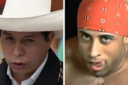 Durante una audiencia virtual, en la que se investiga al presidente peruano Pedro Castillo, el stripper brasileño Ricardo Milos hizo una fugaz "aparición" y la sesión debió ser interrumpida por unos minutos