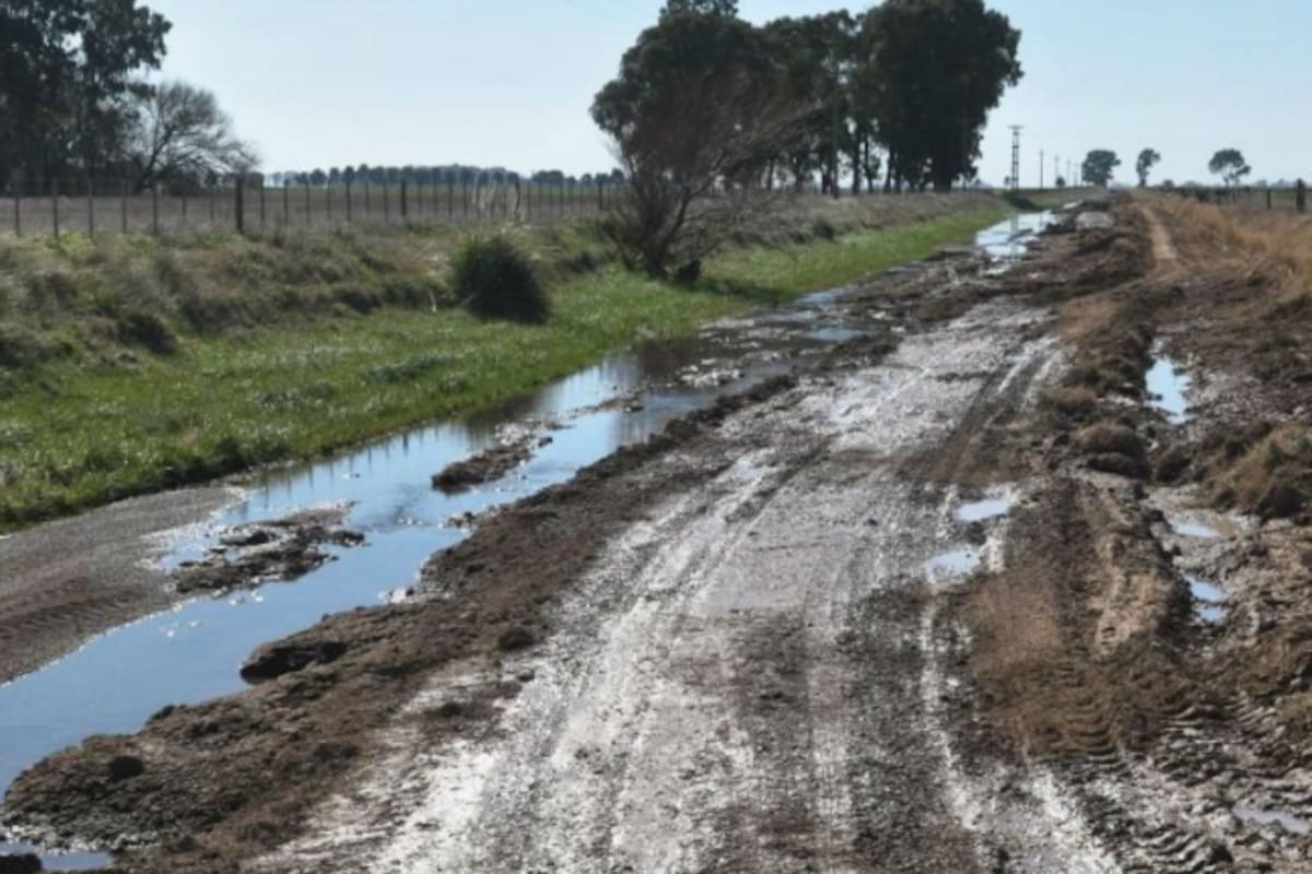 Durante una recorrida por cooperativas de esa región, autoridades de Coninagro recogieron un reclamo reiterado: la falta de obras en la red vial rural y el aumento sostenido de las tasas