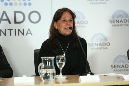 Durante unas jornadas en el Senado de la Nación, Marina Charpentier habló de la necesidad de modificar la Ley Nacional de Salud Mental