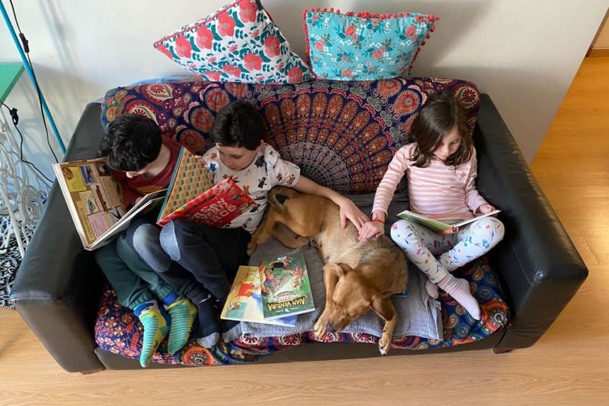 Dylan, Joan, Chloe y Bambina, la pequeña perra que adaptó la familia en cuarentena