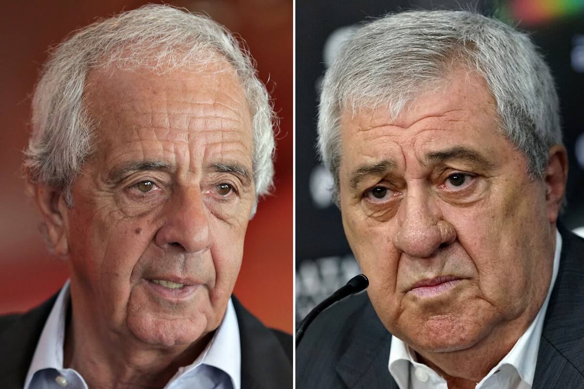 D´onofrio y Amor Ameal