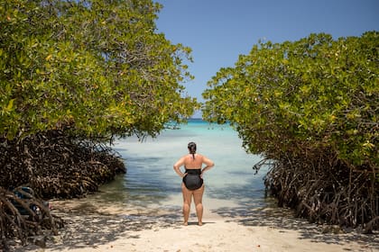 Eagle Beach, Aruba.