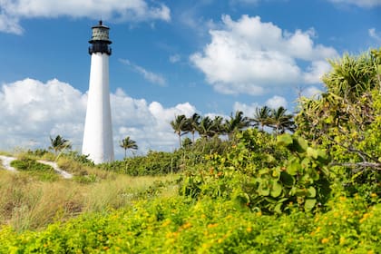 Eb el Big Baggs Cape Florida Park se ofrecen programas de conservación ambiental