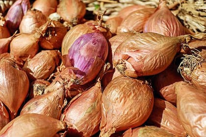 El primer valor de referencia fue establecido para las cebollas, pero se espera la incorporación de nuevos en las próximas semanas