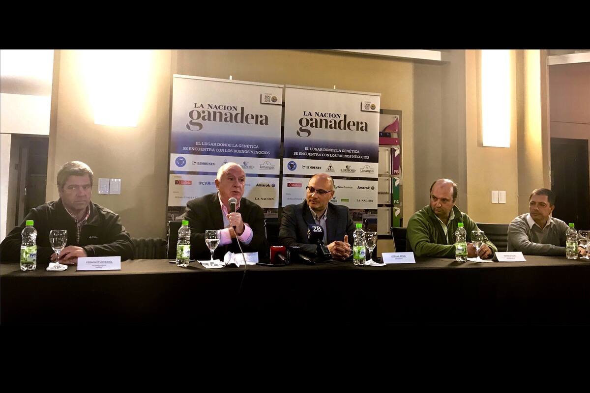 Echeverría, Frigerio, Reino, Carli y Merlo