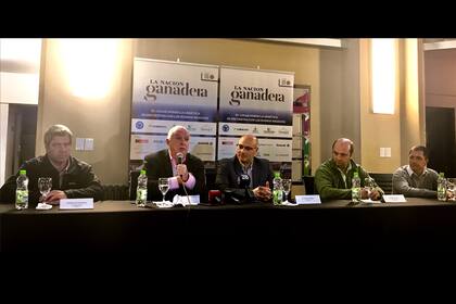 Echeverría, Frigerio, Reino, Carli y Merlo