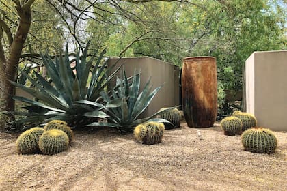Echinocactus grusonii con ágaves, contenidas por muros y Parkinsonia sp., forman un conjunto atractivo resaltado por una pieza de alfarería típica de la región.