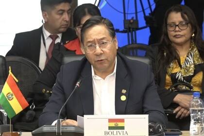 Economía.- Bolivia destinará el 78% del préstamo de CAF a pagar la deuda heredada por el gobierno de Arce