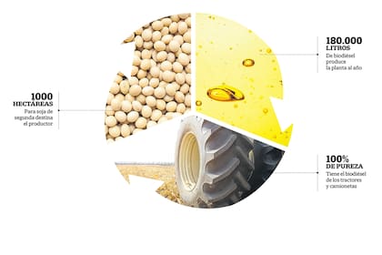 Economía circular
El poder transformador de la soja