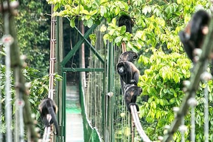 Ecoturismo a pleno