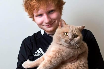 Ed Sheeran junto a uno de sus gatos