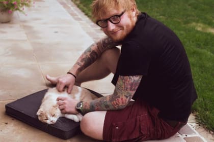 Edd Sheran comparte en redes sociales contenido con sus gatos (Foto Instagram @teddysphotos)