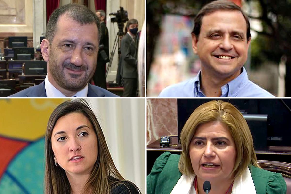 Edgardo Kueider (Entre Ríos), Guillermo Snopek (Jujuy), María Eugenia Catalfamo (San Luis) y Clara Vega (La Rioja)