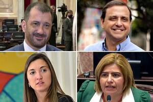 Edgardo Kueider (Entre Ríos), Guillermo Snopek (Jujuy), María Eugenia Catalfamo (San Luis) y Clara Vega (La Rioja)