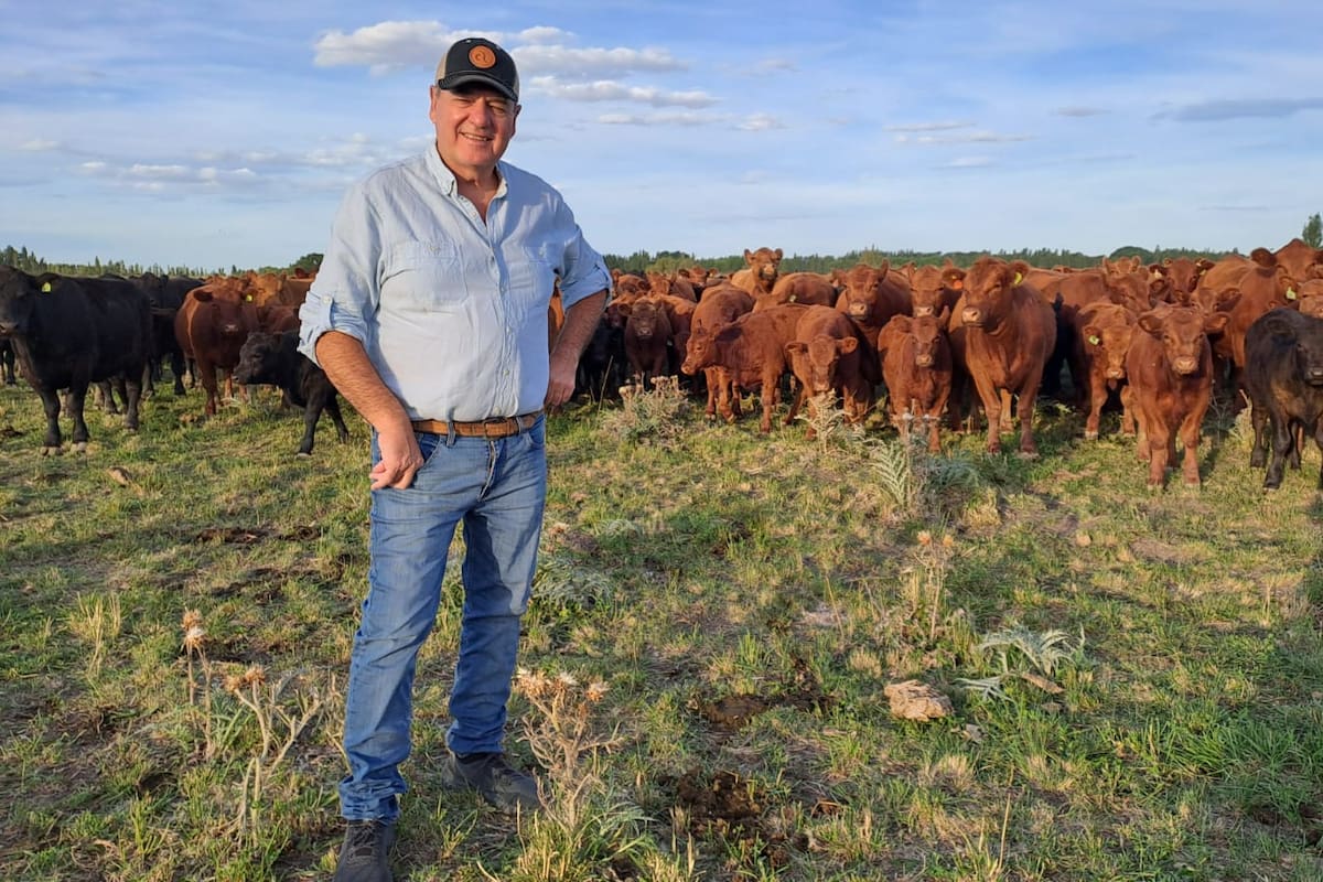 Edgardo Tejeda, productor de la Patagonia, con su lote de Angus colorado