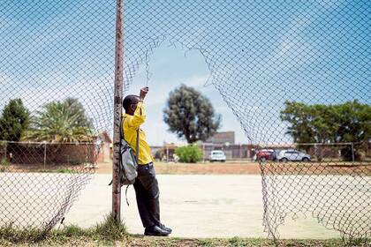 Edición Dante Cosenza