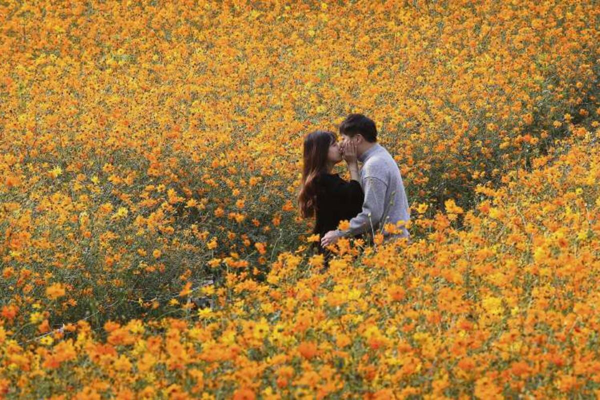 Edición fotográfica Dante Cosenza