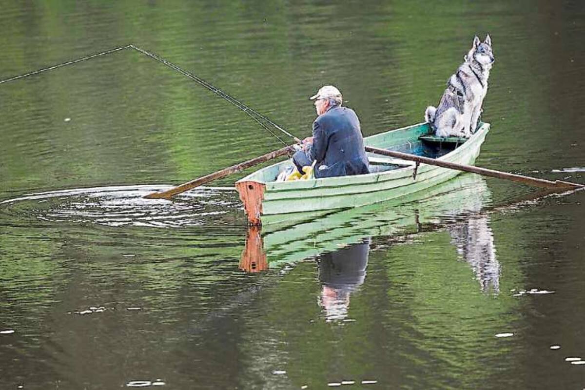 Edición fotográfica Dante Cosenza
