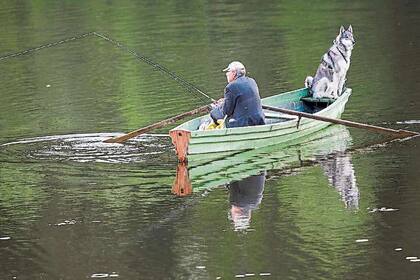 Edición fotográfica Dante Cosenza