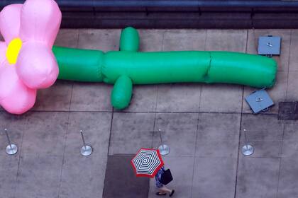 Edición fotográfica Dante Cosenza