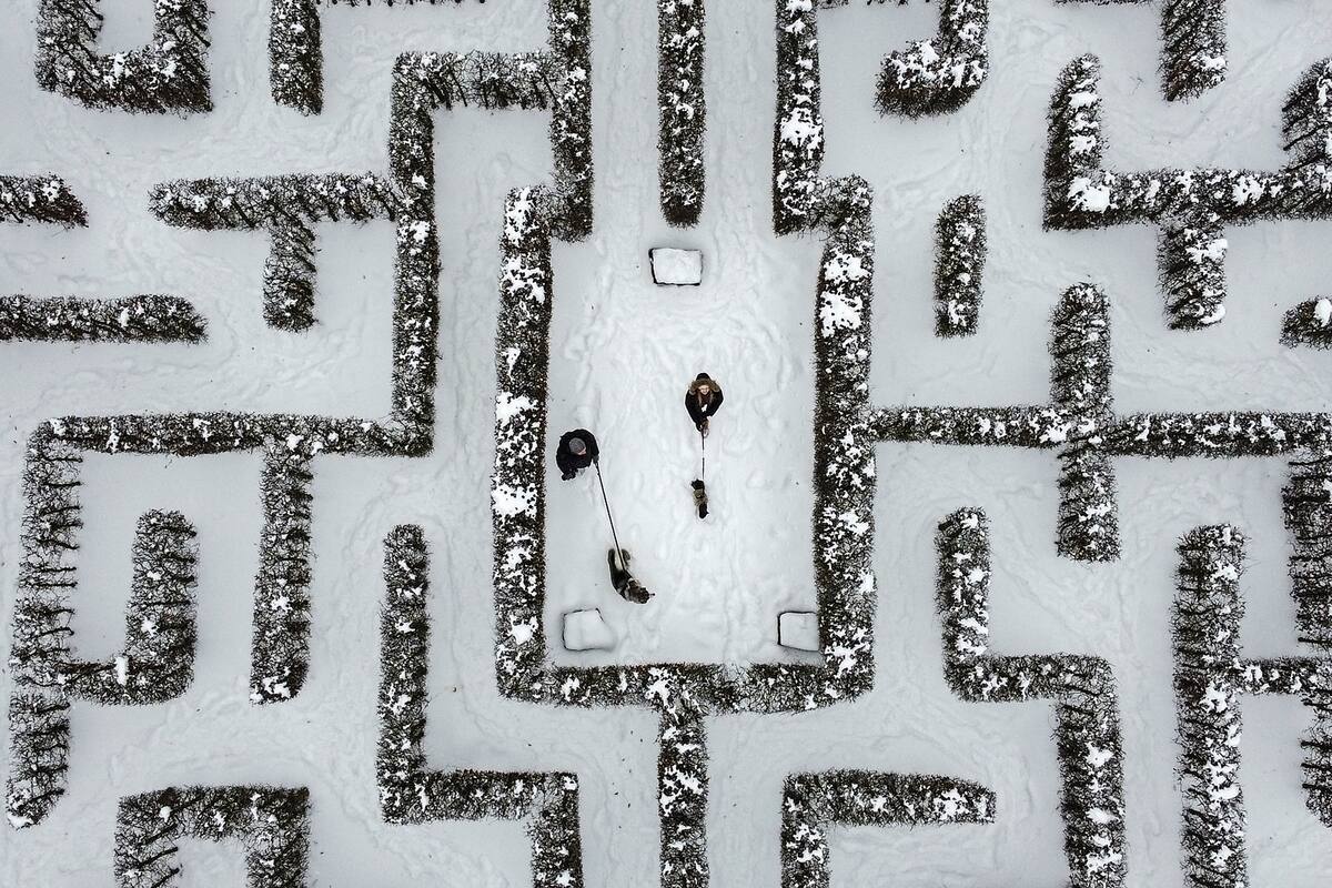 Edición fotográfica de Dante Cosenza