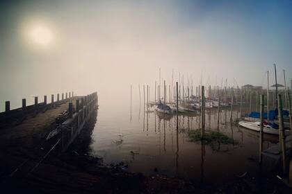 Edición fotográfica de Dante Cosenza