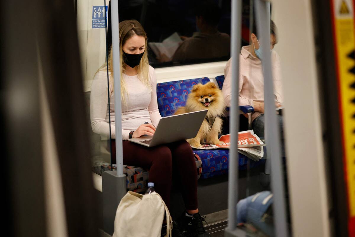 Edición fotográfica de Dante Cosenza