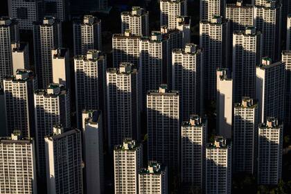 Edición fotográfica de Dante Cosenza