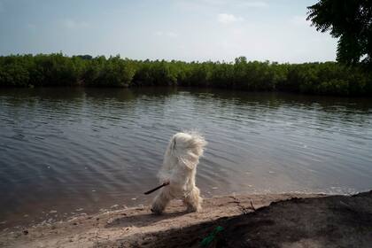 Serrekunda, Gambia. Edición fotográfica de Dante Cosenza
