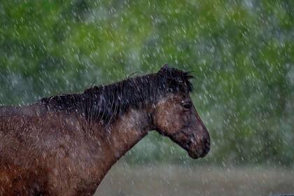 Edición fotográfica de Dante Cosenza