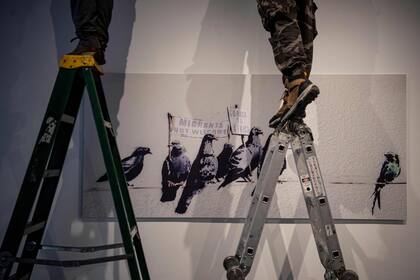 Edición fotográfica de Dante Cosenza