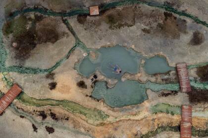 Edición fotográfica de Dante Cosenza