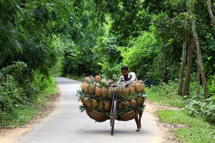 Edición fotográfica de Dante Cosenza