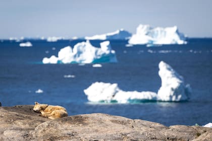 Ilimanaq, Groenlandia, junio 2022.
