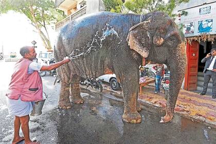 Edición fotográfica Julián Bongiovanni