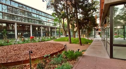 Edificaciones bajas y arboleda son la identidad de este proyecto
